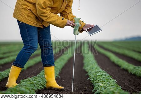 Farmer Checking Rain Gauge In Field After Heavy Rain In Springtime, Working On Tablet As Innovation 