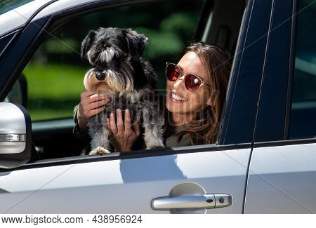 Girl Wearing Sunglasses Sitting In Car Smiling. Young Woman And Dog Miniature Schnauzer Looking Thou