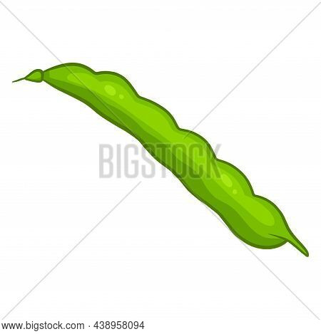 Fresh Beans. Green Young Green Beans. Ingredient For Dishes.