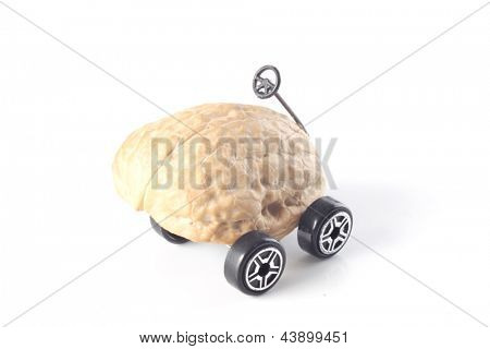 驾驶我的照片螺母-车