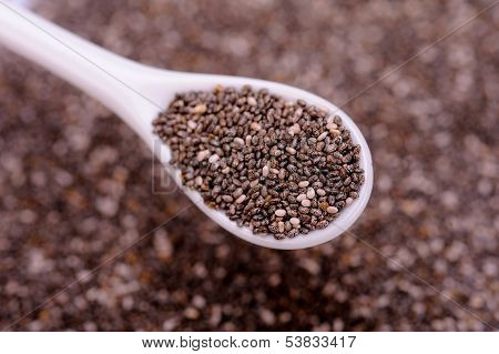 Organic Chia Seeds