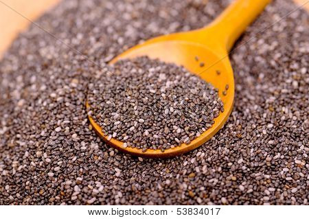 Organic Chia Seeds