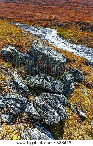 Stone Grass Moss River