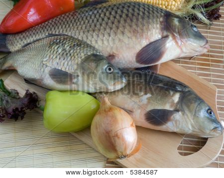 Pesce carpa