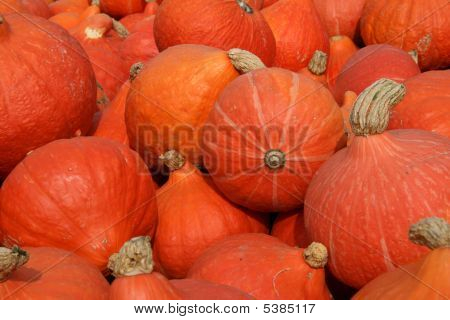 Hokkaido pumpor