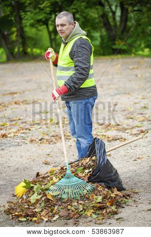 Man with rake collects leaves