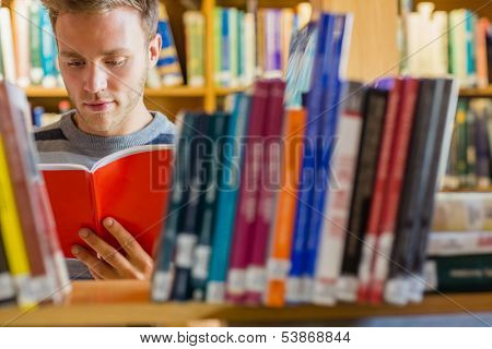 Young male student reading a book amid bookshelves in the college library