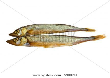 Fisch, Bloater