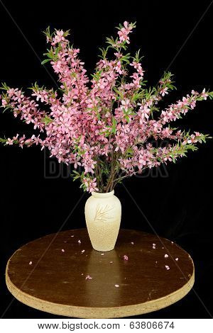 Bouquet of blooming wild cherry branches