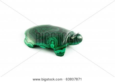 Green Turtle