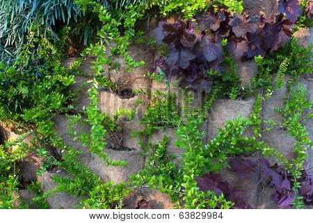 Vertical Garden