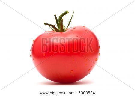 Tomato