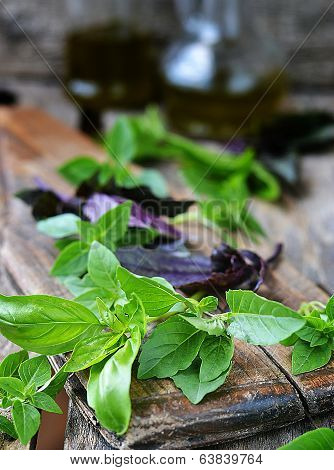 Basil