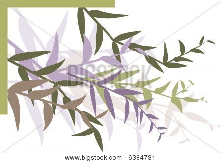 Floral.