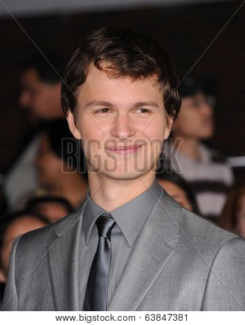 LOS ANGELES - MAR 18:  Ansel Elgort arrives to the 'Divergent' Los Angeles Premiere  on March 18, 2014 in Westwood, CA                