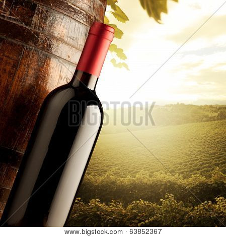 Winemaking