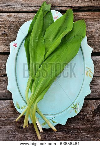 Bear's Onion