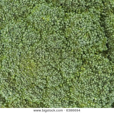 Texture di broccoli