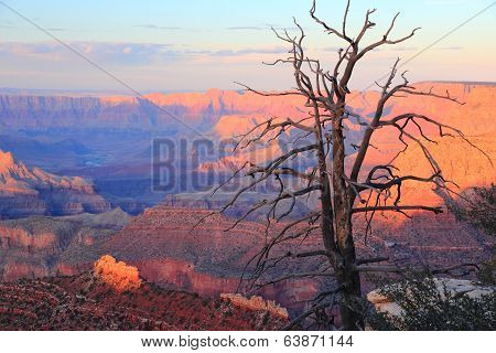 Grand Canyon Sunset