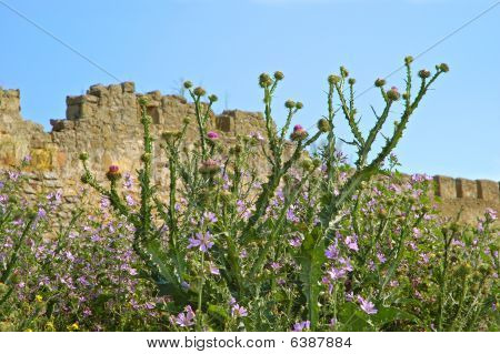 mittelalterliche Burg