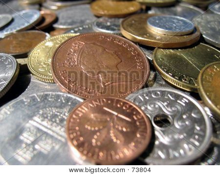 Měnová rozmanitost