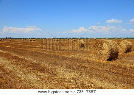 Bale of hay