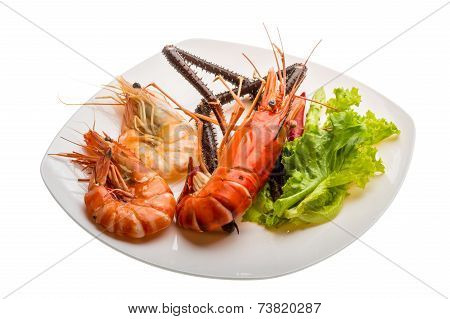 Giant Freshwater Prawn And King Prawns
