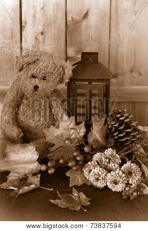 Fall Flowers And Teddy Bear