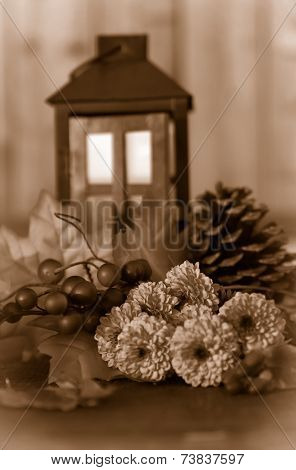 Fall Flowers