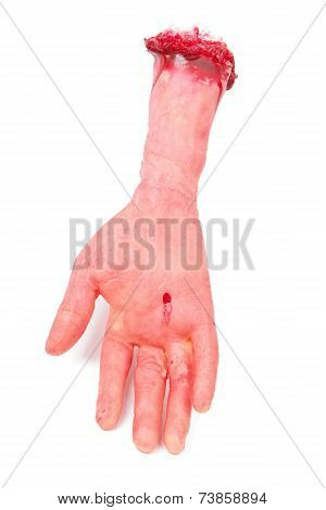 the hand