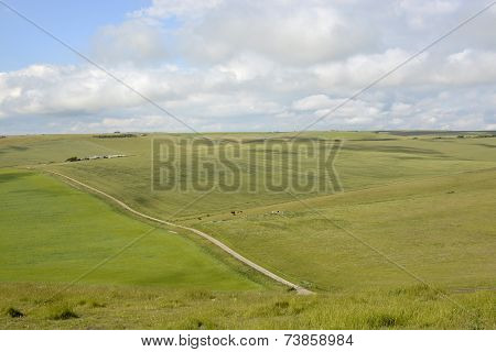 South Downs Countryside Near Eastbourne. England