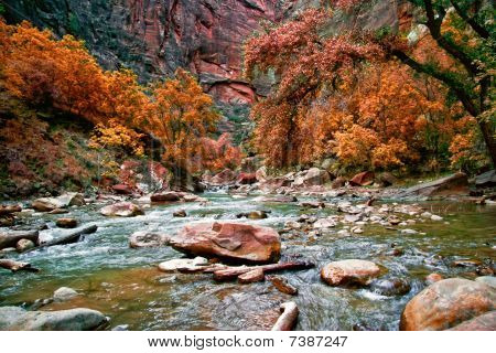 Zion Canyon-folyó