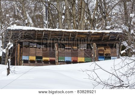 Gotthard Massif (switzerland) - Beehives At Snow