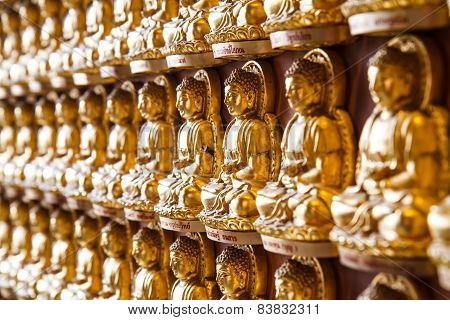 Buddha statues in temple