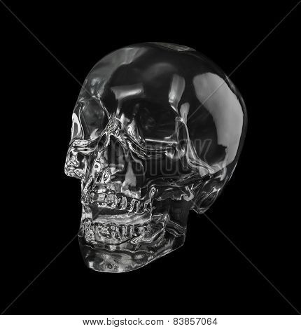 Crystal Head Bottle