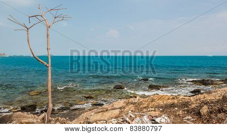 Sea Of Thailand.