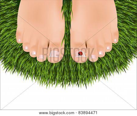 Beautiful Female Feet With A Pedicure On A Background Of Green Grass. Ladybug On A Finger.