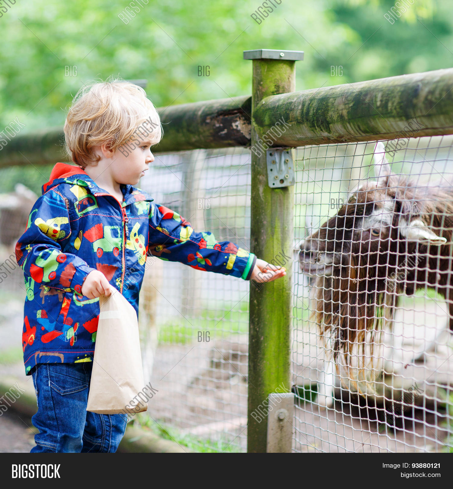Kid Boy Feeding Goats Image & Photo (Free Trial) Bigstock