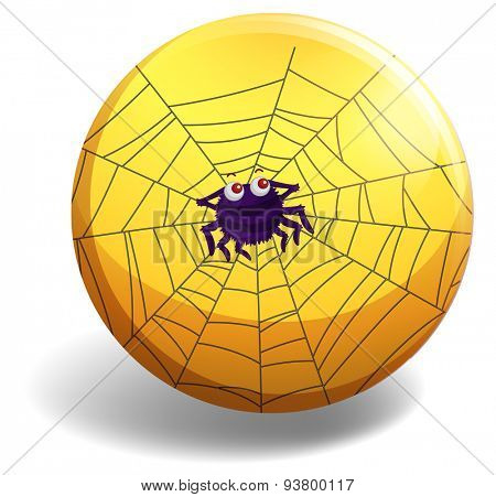 Cute spider making spider web