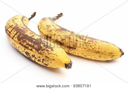 Two Old And Overripe Bananas On White Background
