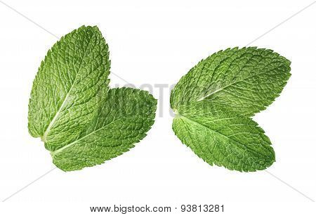 2 Double Mint Leaves Composition Isolated On White Background