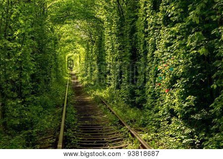 Klevan, Tunnel of love