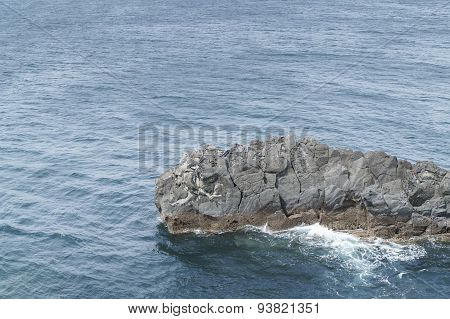 Train Rock In Southern Of Jeju Island