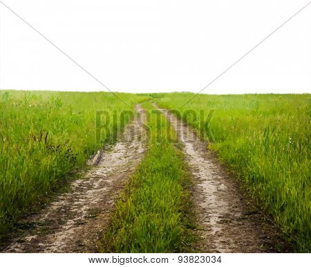 Country road through the fields, vector