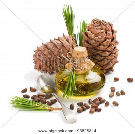 Cedar Pine Nuts, Cones And Oi