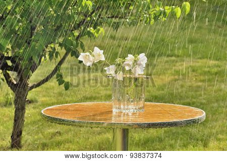 Summer rain and white bells