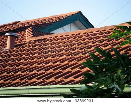 Sunrise Pattern On Roof Tiles In Sinagra