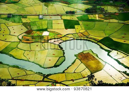 Rice field in valley in Lang Son, Vietnam