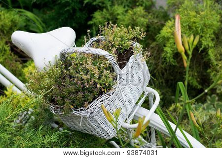 Old Bicycle Ideas For Gardening