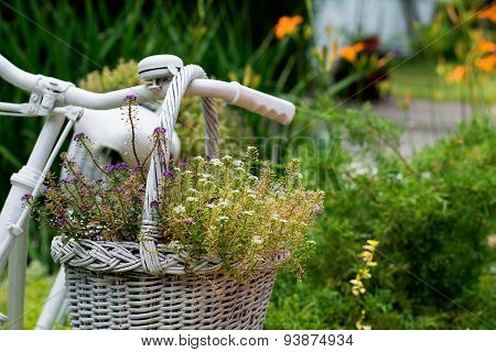 Old Bicycle Ideas For Gardening